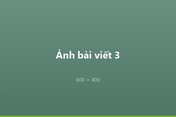 Lịch đặt quà Tết
